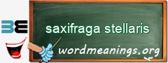 WordMeaning blackboard for saxifraga stellaris